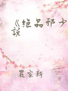 《绝品邪少》小说