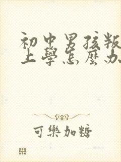 初中男孩叛逆不上学怎么办