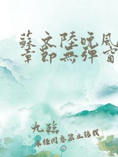 苏文陆晚风最新章节无弹窗笔趣阁