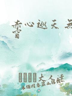 赤心巡天 无弹窗