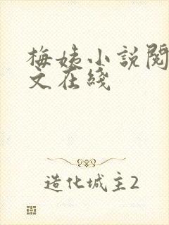 梅姨小说阅读全文在线