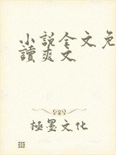 小说全文免费阅读爽文