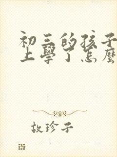 初三的孩子不想上学了怎么办