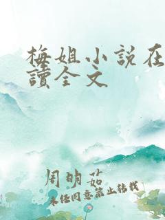 梅姐小说在线阅读全文