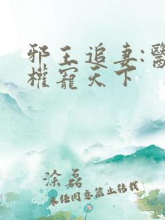 邪王追妻:医妃权宠天下