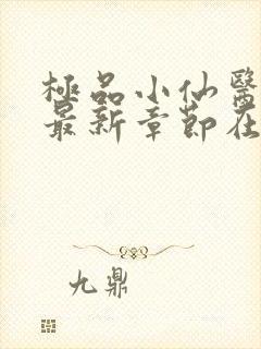 极品小仙医张昊最新章节在线阅读