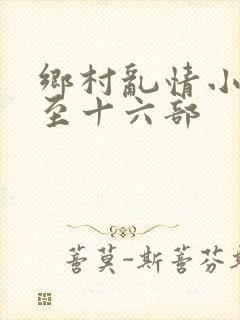 乡村乱情小说一至十六部