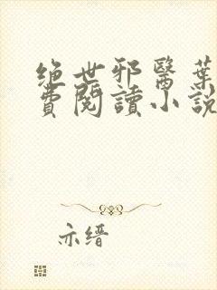 绝世邪医叶凡免费阅读小说