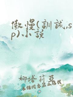 傲慢(训诫,sp)小说