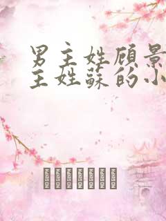 男主姓顾景琛女主姓苏的小说