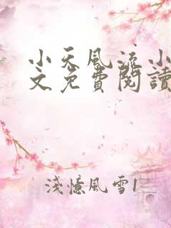 小天风流小说全文免费阅读无弹窗