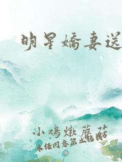 明星娇妻送上门