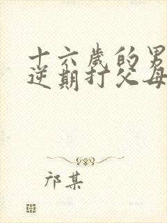 十六岁的男孩叛逆期打父母