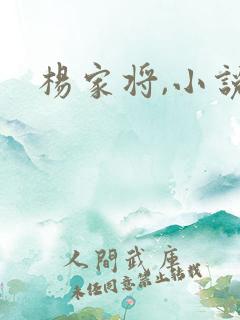 杨家将,小说