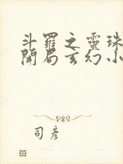 斗罗之灵珠神剑开局玄幻小猪小说精校版