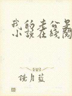 我的老公是鬼物小说在线阅读