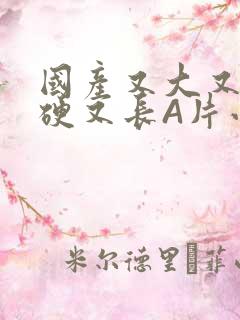 国产又大又粗又硬又长A片小说