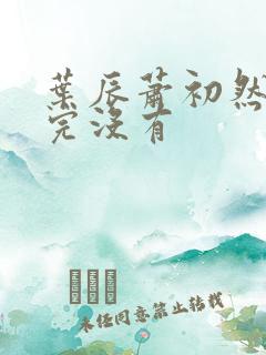 叶辰萧初然更新完没有