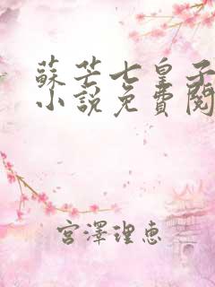 苏芒七皇子穿越小说免费阅读