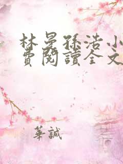 林曼孙浩小说免费阅读全文最新章节