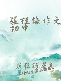 张桂梅作文素材初中