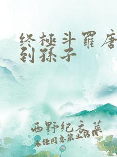 终极斗罗唐三见到孙子