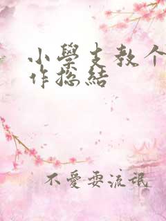 小学支教个人工作总结