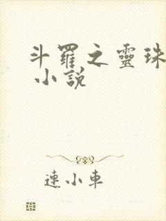斗罗之灵珠神剑 小说