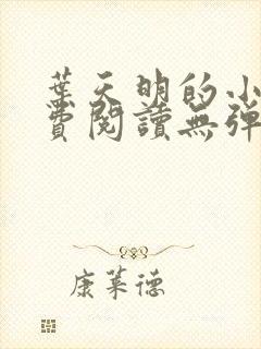 叶天明的小说免费阅读无弹窗