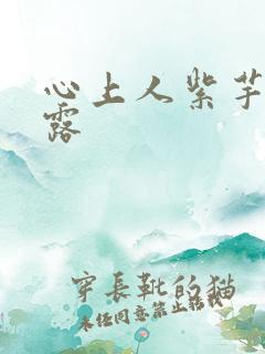 心上人紫芋西米露