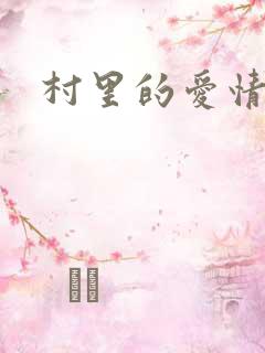 村里的爱情小说