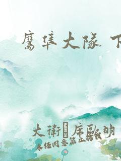 鹰隼大队 下载