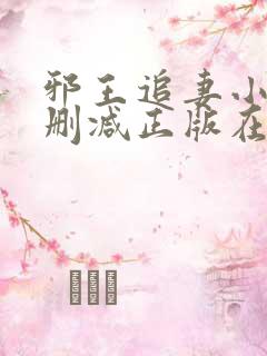 邪王追妻小说无删减正版在线阅读