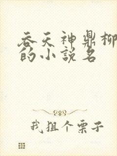 吞天神鼎柳无邪的小说名