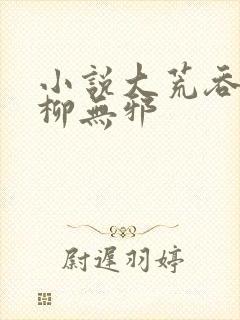小说大荒吞天诀柳无邪