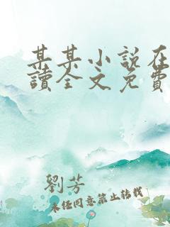 某某小说在线阅读全文免费