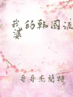 我的韩国流氓老婆