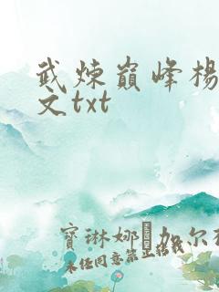 武炼巅峰杨开全文txt