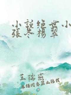 小说绝世小医仙张冬杨翠