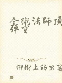 全职法师顶点无弹窗