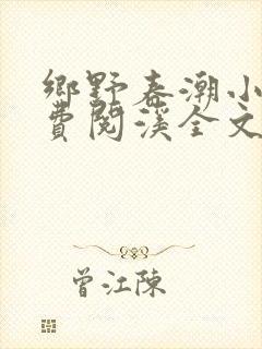 乡野春潮小说免费阅溪全文
