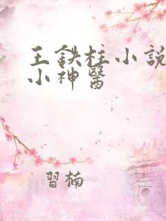 王铁柱小说乡村小神医