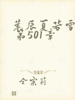 叶辰夏若雪孙怡 第501章