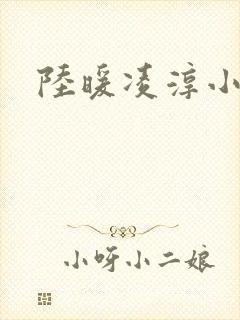 陆暖凌淳小说