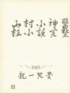 山村小神医王铁柱小说完整版
