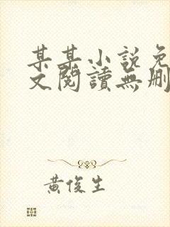 某某小说免费全文阅读无删减