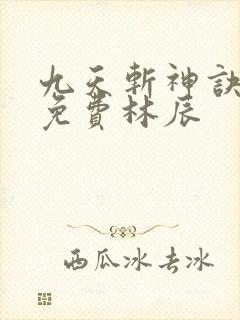 九天斩神诀小说免费林辰