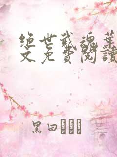 绝世武魂叶天全文免费阅读