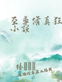 至尊修真狂少 小说