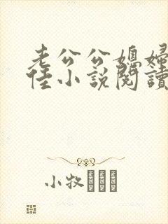 老公公媳妇与柔佳小说阅读免费